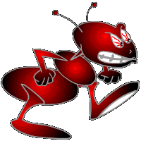 Ant-TCP